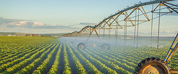 Facilidades que ofrece la junta al sector agrario.